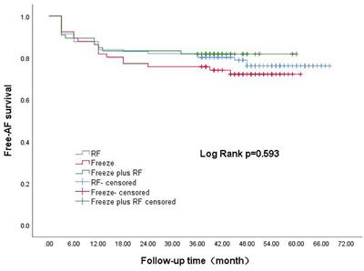 The Long-Term Results of Three Catheter Ablation Methods in Patients With Paroxysmal Atrial Fibrillation: A 4-Year Follow-Up Study